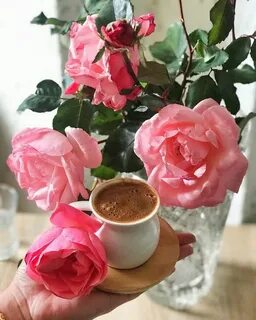 Кофе розы доброе утро картинки