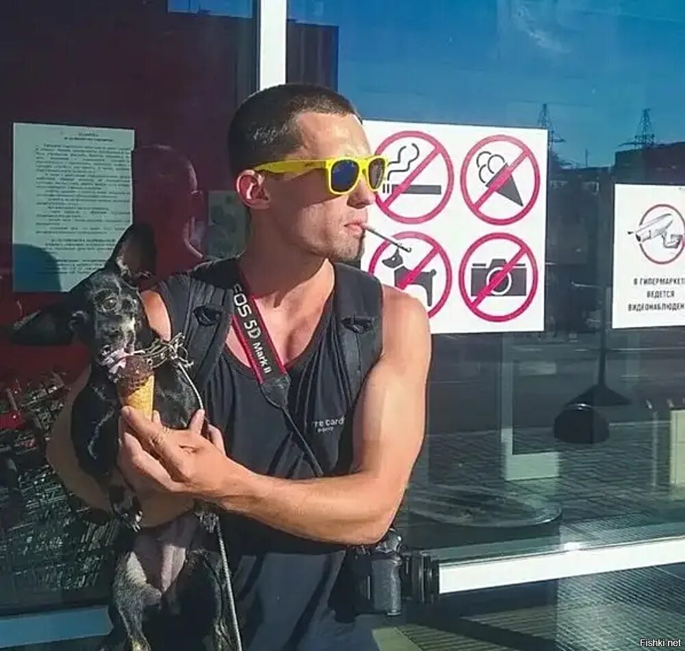 Бен шнетцер клуб бунтарей. Бунтарь 2 индийский фильм. Бунтарь картинки. James dean rebel without a cause. Кино тайгер шрофф 2020.