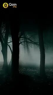 Dark them