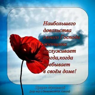 Цветок пророка мухаммад