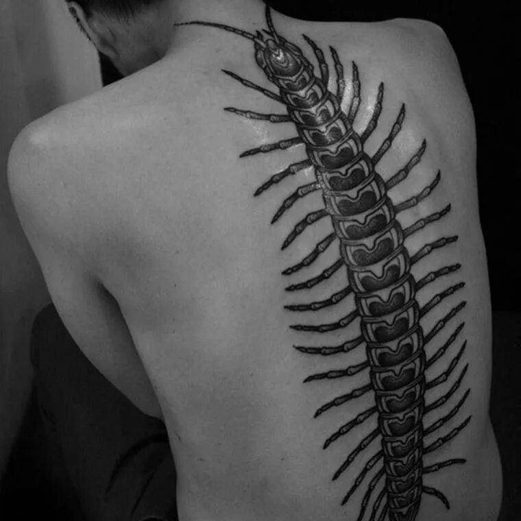 Сколопендра токийский гуль. Татуировки токийский гуль сороконожка. Тату сороконожка. Тат скалопеедры на всю руку. Дрейн многоножка.