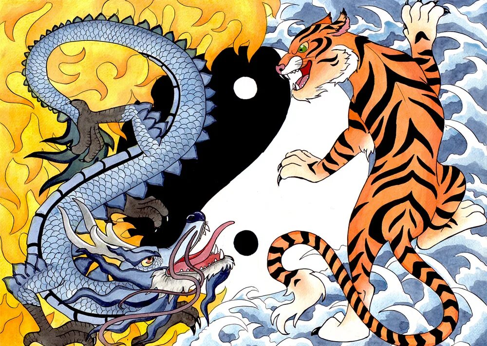 Год змеи тигр. Дракон и Тайгер. Тигр и дракон. Китайский дракон и тигр. Тигр драка.