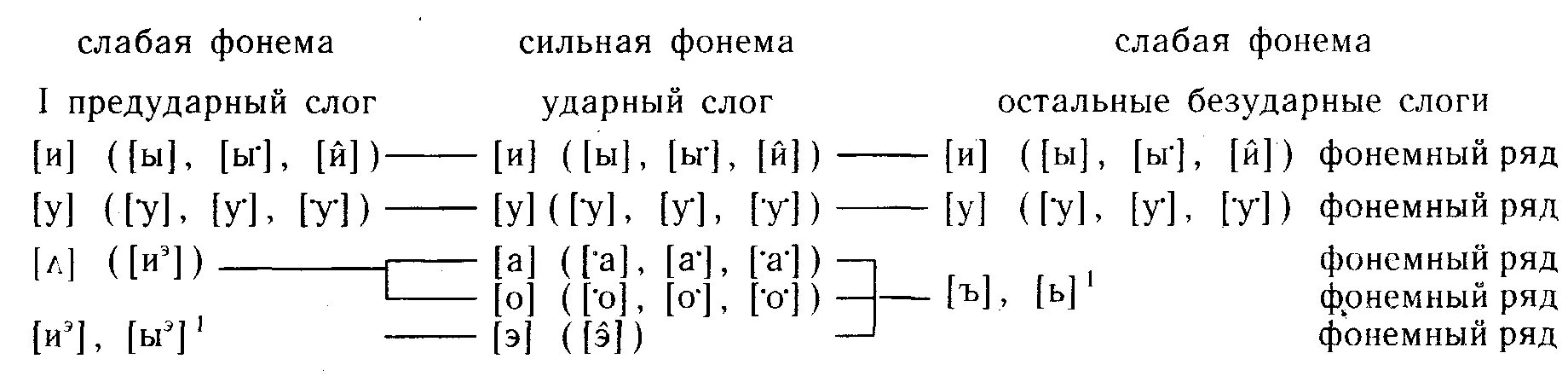 Сильная слабая фонема