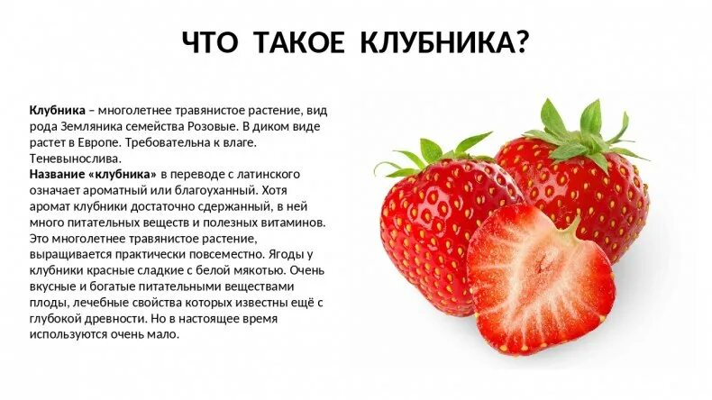 Как узнать клубнику для 3 класса. Доклад про клубнику. описание клубники для детей. клубника описание растения. рассказать про землянику.