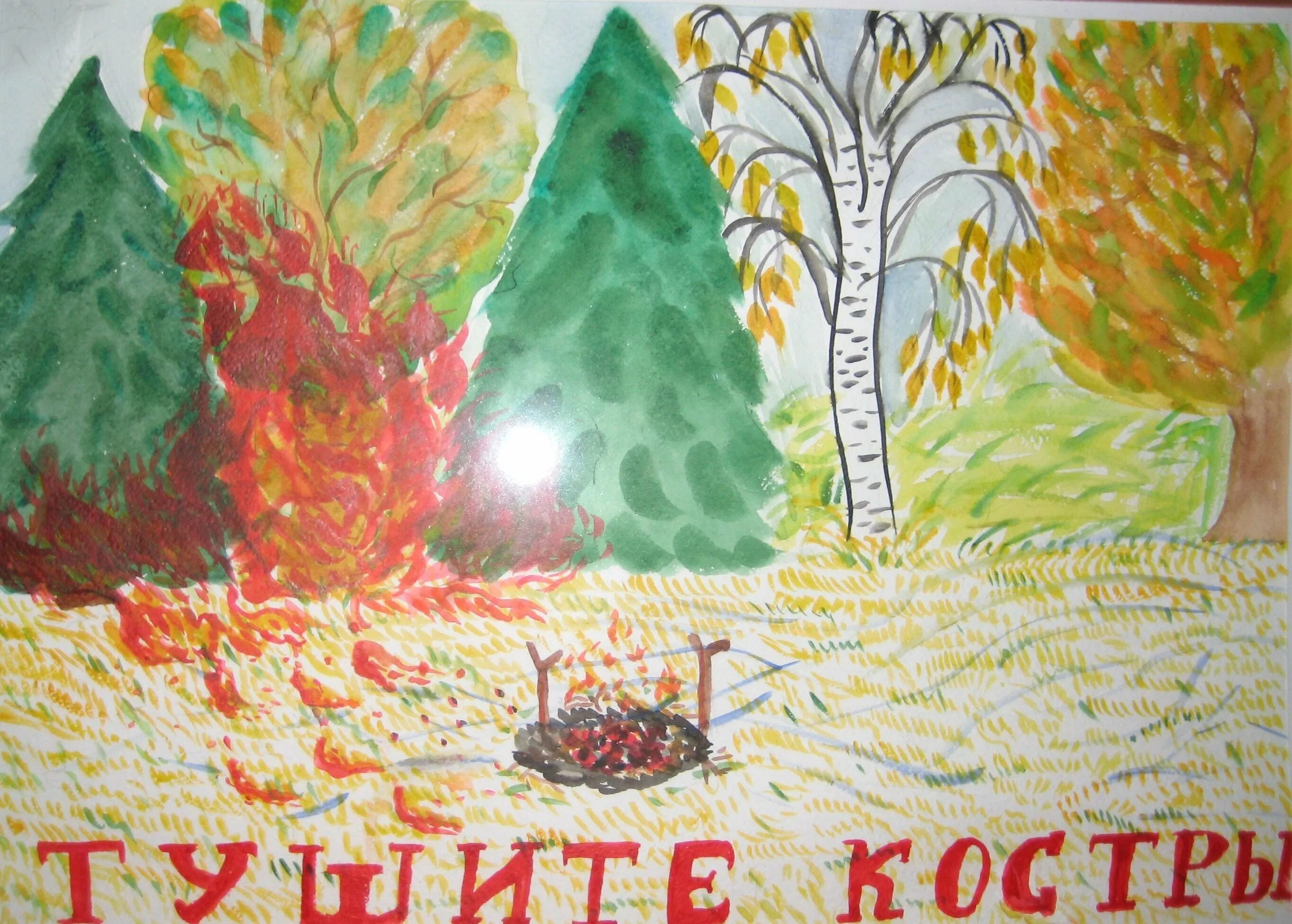 Сохраним природу леса