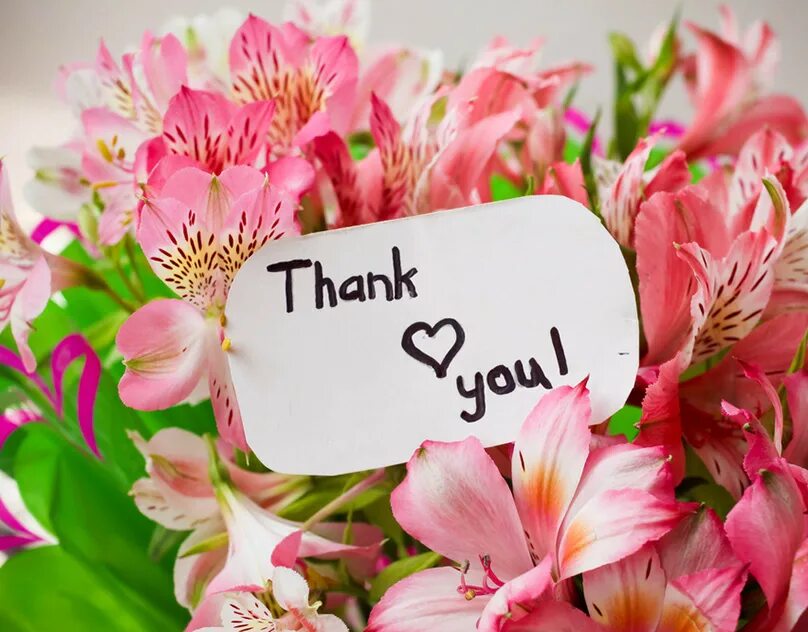 I got you flowers. Обои на телефон один цветок. First flowers for you. Thank you flowers. All flowers for you.