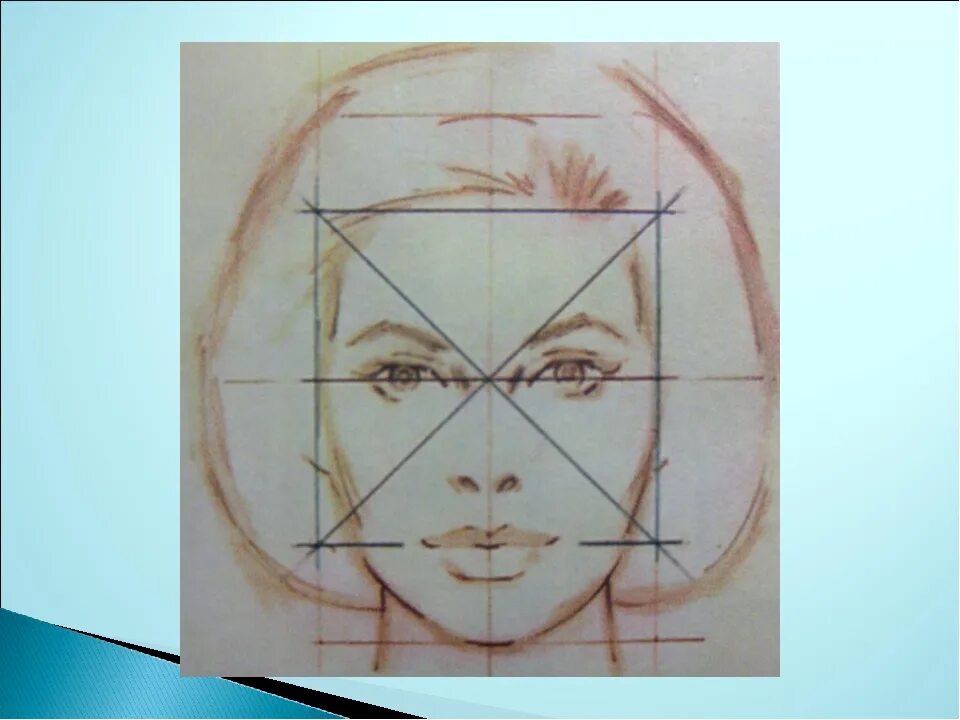 Изо пропорции лица человека. Последовательность рисования портрета в цвете. Изображение головы в пространстве. Портрет в изобразительном искусстве 6 класс.