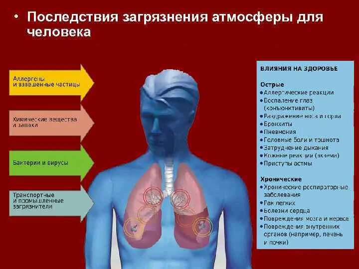 Атмосферный воздух при вдохе попадает. Влияние загрязнения атмосферы на человека. влияние загрязнения воздуха на человека. загрязнение воздуха влияния на организм. влияние загрязнений на организмы.