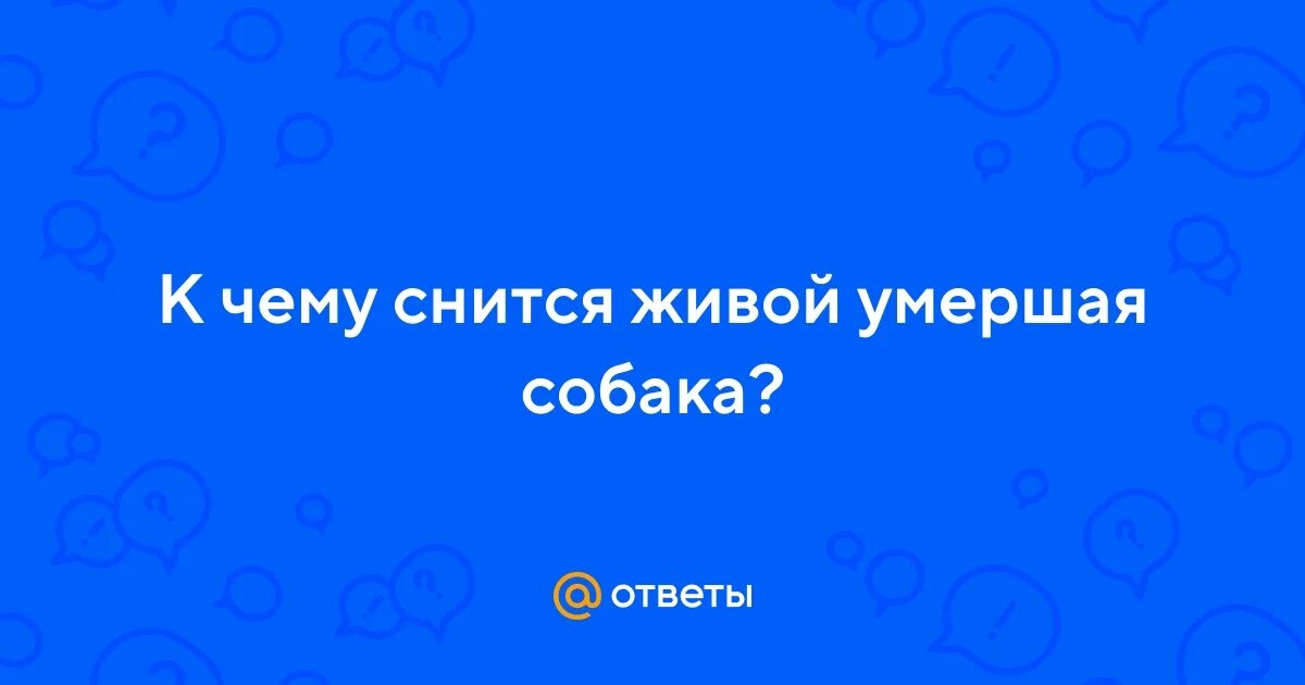 Во сне укусила собака к чему. Собаки сон приснился. Сонник умершая собака живая. К чему снится мертвая собака. К чему снится собака.