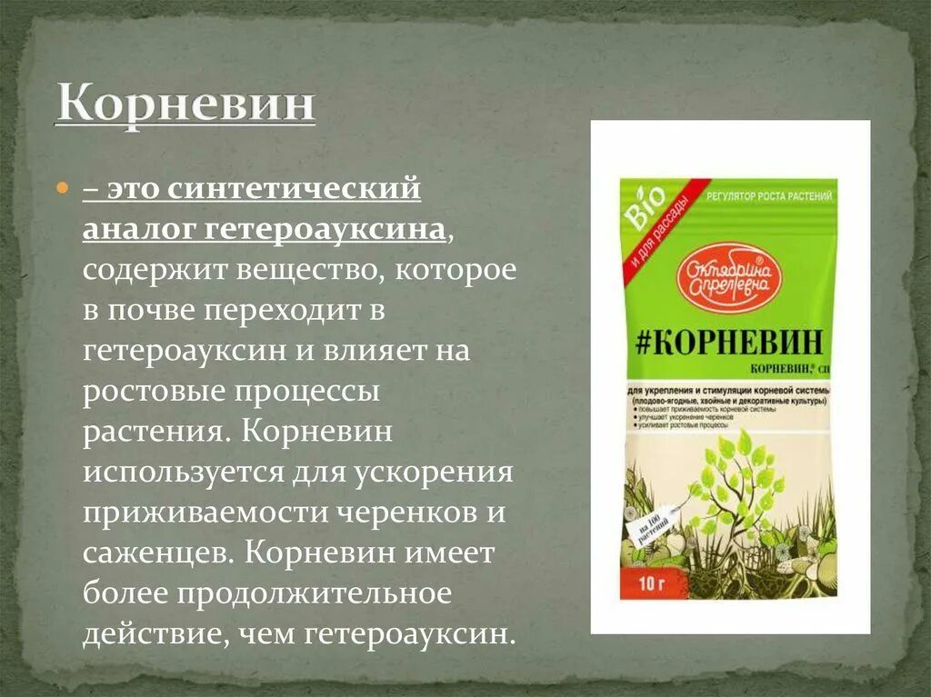 Можно ли использовать корневин. Корневин гетероауксин. Корневин для растений. Корневин для деревьев. Корневин для черенков.