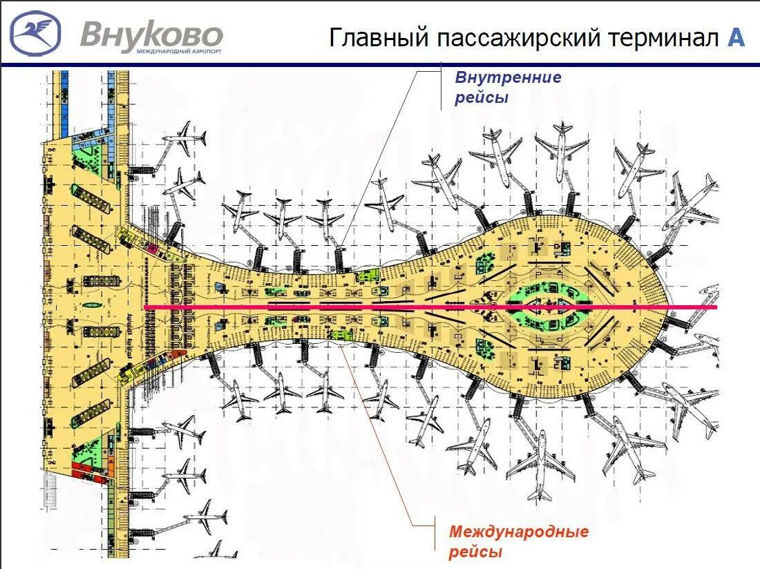 Внуково терминал а прилет. Аэропорт Внуково терминал а схема. Схема аэропорта Внуково зона прилета. План аэропорта Внуково терминал а. Аэропорт Внуково схема аэропорта внутри.