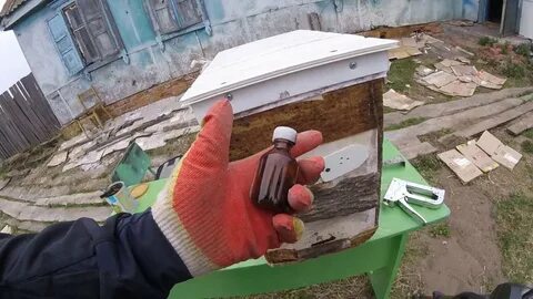 Приманка для пчел 7