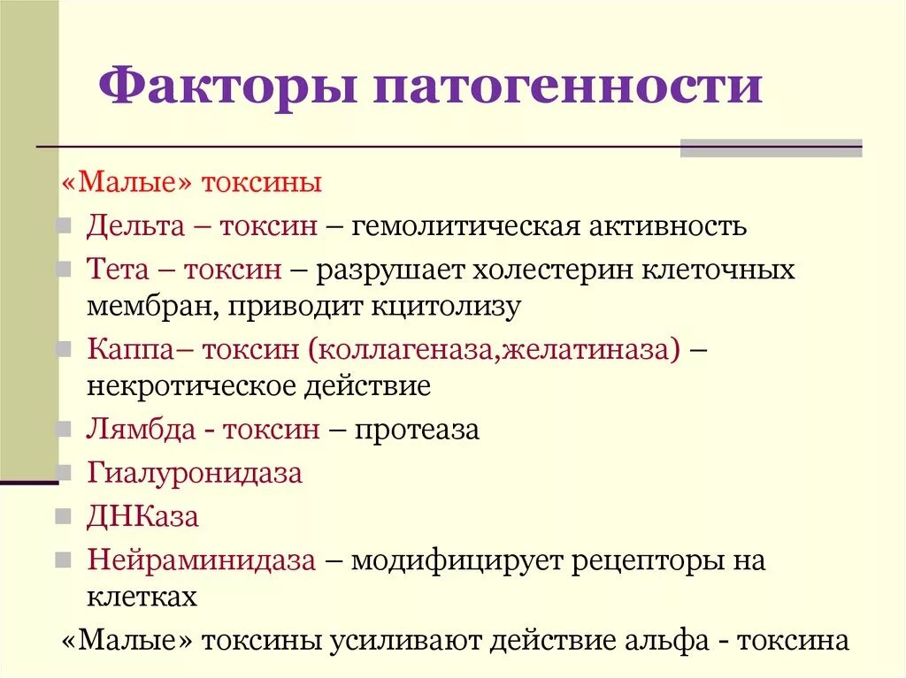 C 4 c 4 название процесса. C 4 c 4 название процесса