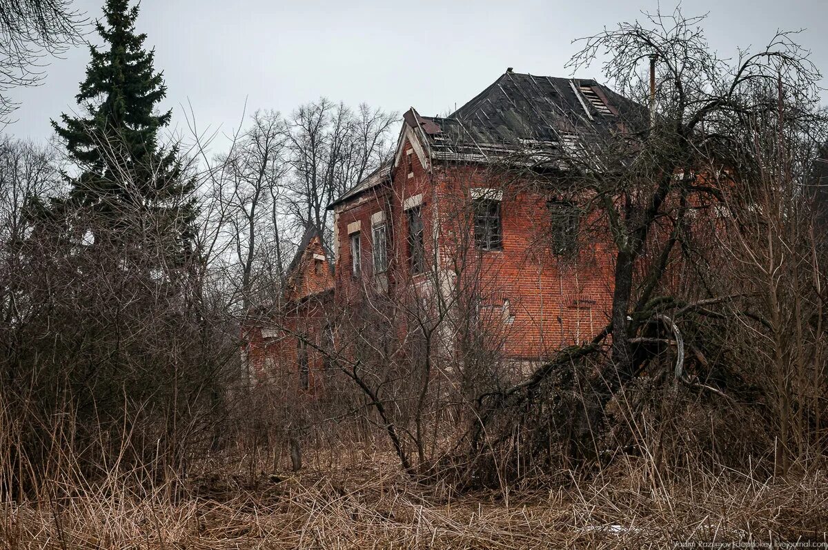 Озеры усадьбы. Усадьба Сенницы Озерского района Московской. Сенницы Озерский район усадьба Келлера. Усадьба графа Келлера Озерский район.