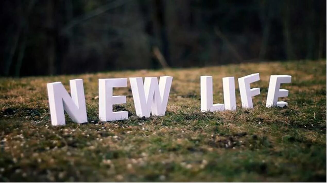 Its a new way. New life надпись. new life картинки. новинка надпись. new life красивая надпись.