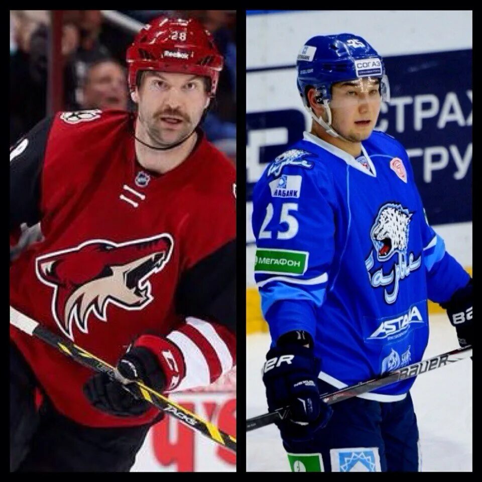 тафгай хабаровск интернет магазин. тафгай хабаровск интернет магазин. тафгай в хоккее. тафгай хабаровск. тафгай хабаровск.