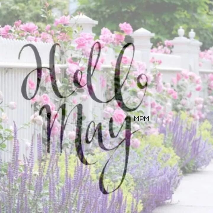 May is spring month. Hello spring надпись. helloy may. may month. hello may фото.