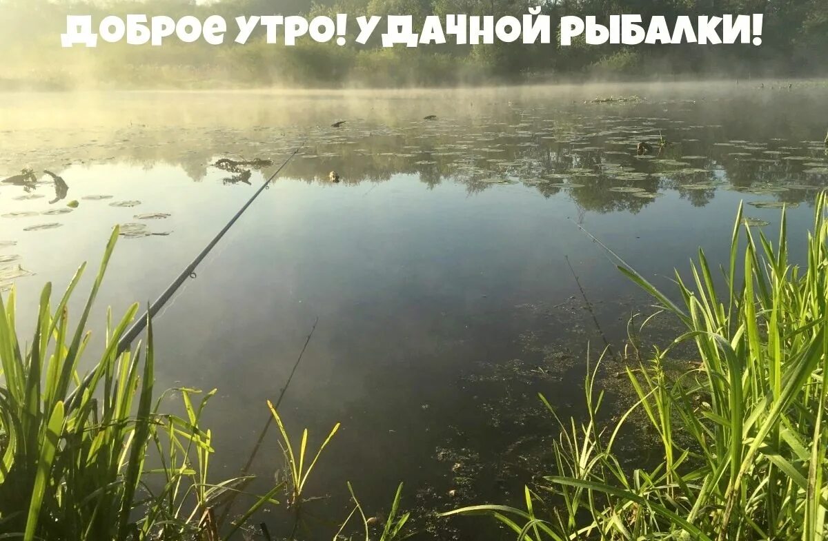 Рыбак утром выехал из города на рыбалку. С добрым утром рыбаки. доброе утро рыбалка. доброе утро рыболов. открытки с добрым утром с рыбалкой.