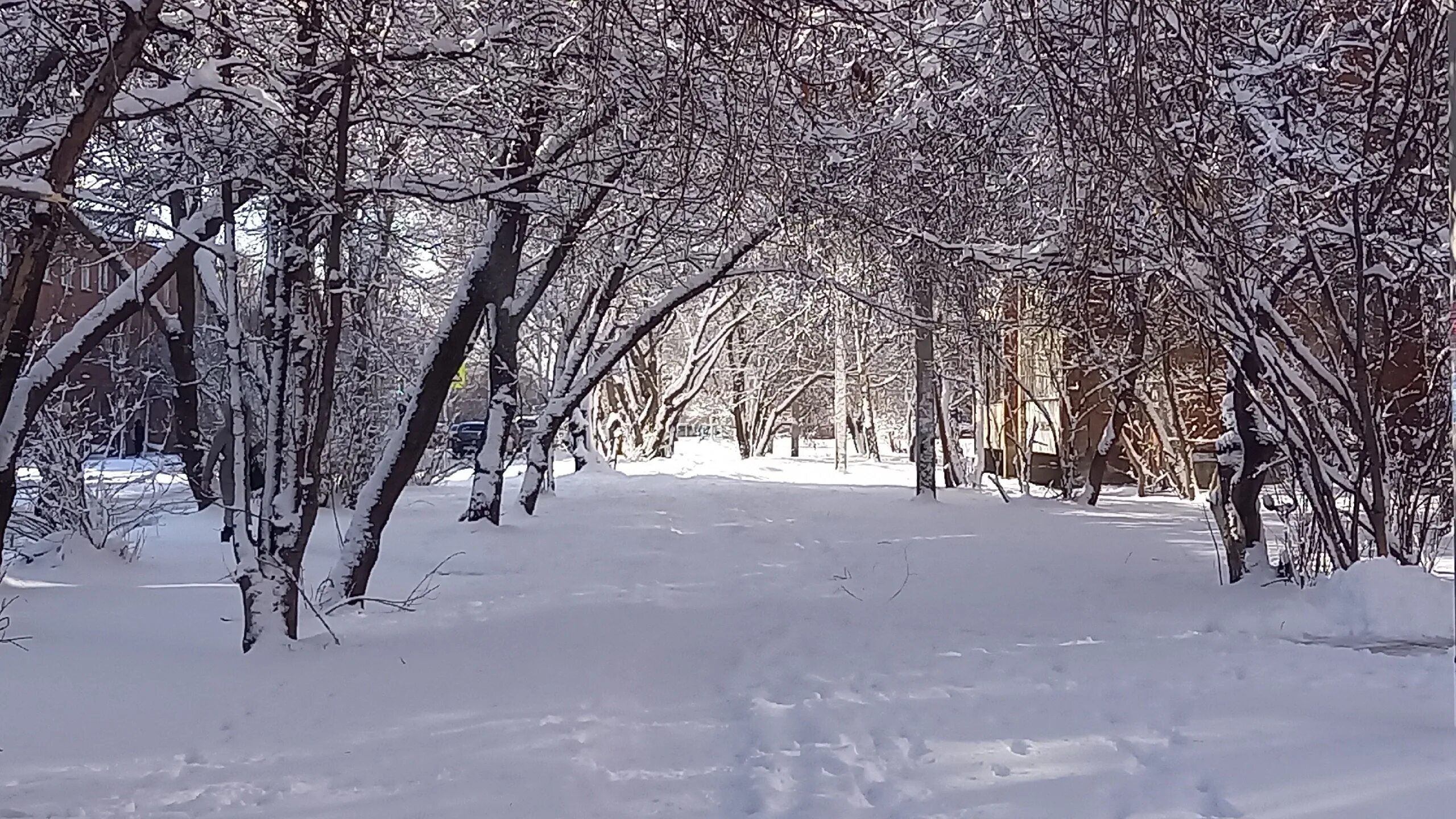 Снежное Весеннее утро. Снежная буря. Снежок Иркутский.