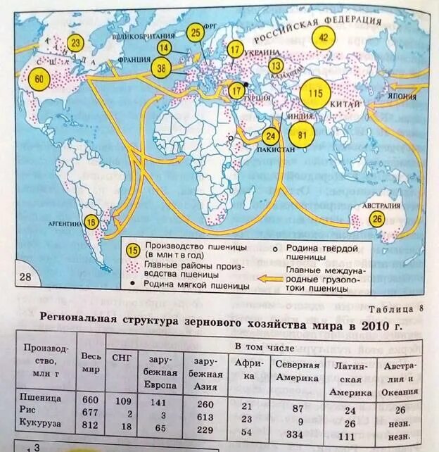 Северный и Южный пшеничный пояс. Пшеничные пояса карта. Страны пшеничного пояса.