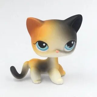 Кошка pet shop