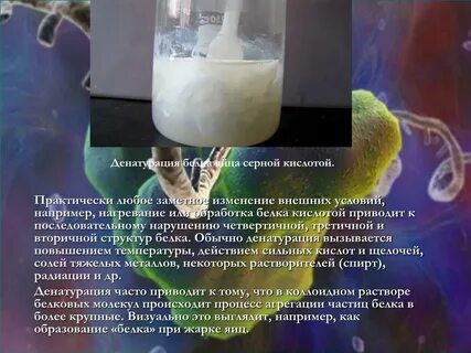 Белок кислота