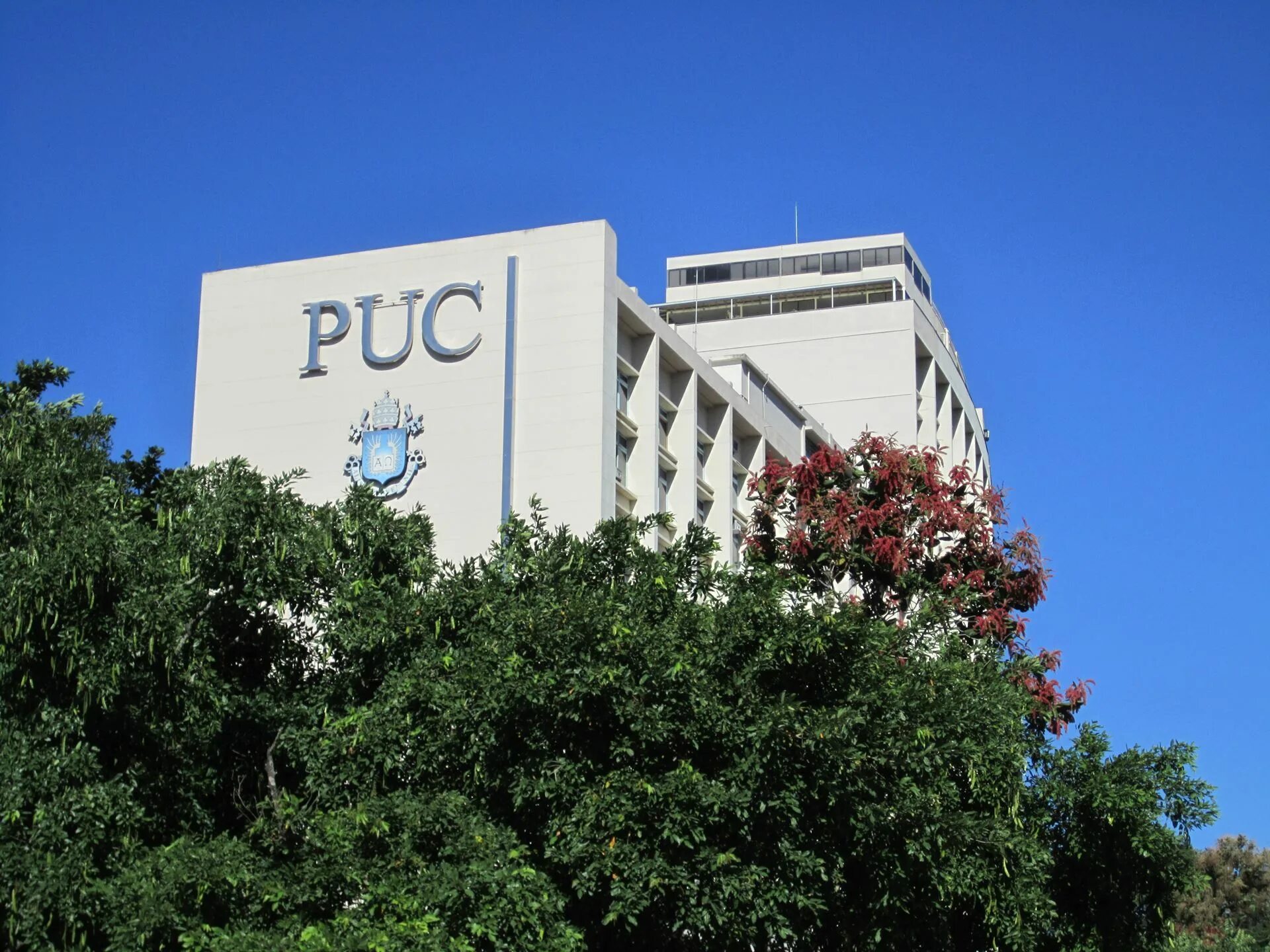 P y c