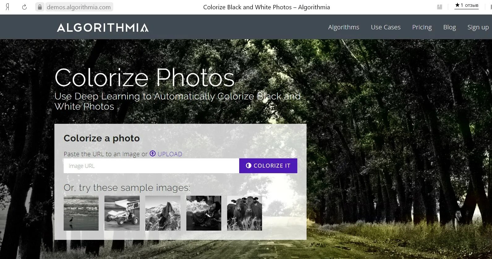 Www demo ru. Algorithmia.com. (Лейбл): Colorize. Image colorization. Colorize свойства.