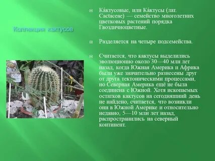Натуралистов 6