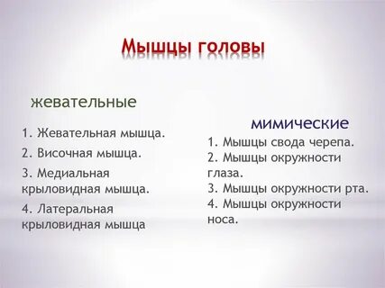 Чем мимические мышцы отличаются от жевательных кратко