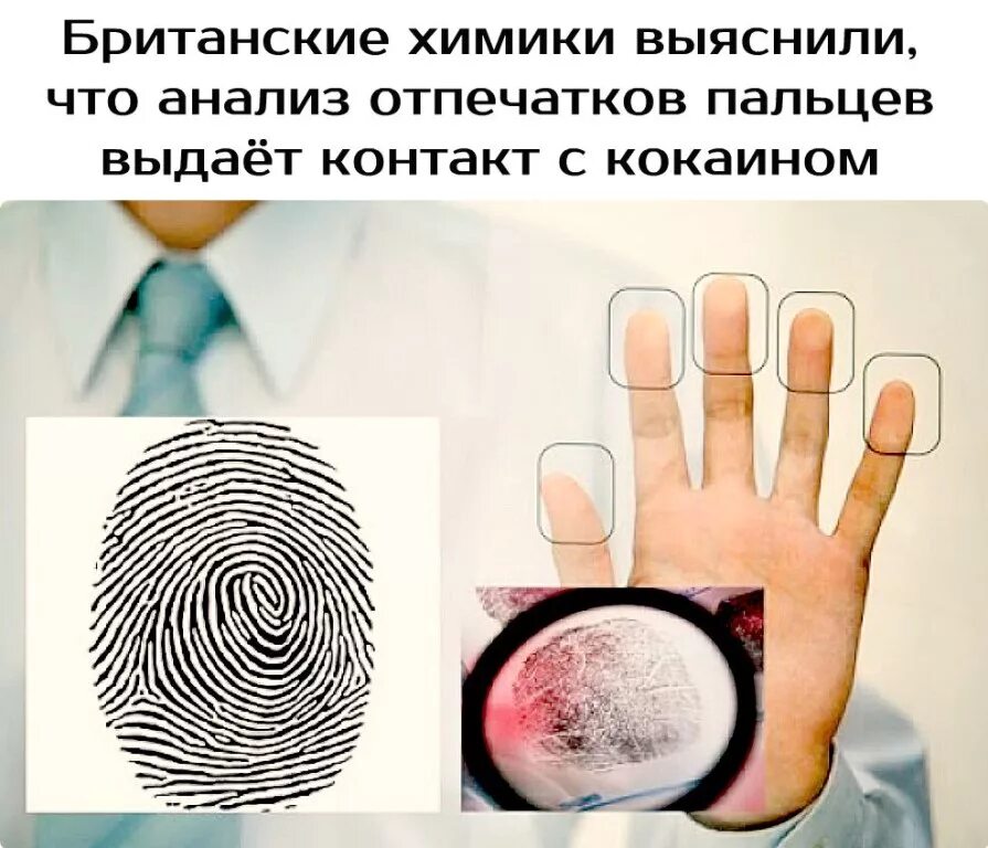 Есть ли отпечатки. Дактилоскопия криминалистика. Исследование отпечатков пальцев. Отпечатки пальцев дактилоскопия. Отпечатки пальцев в криминалистике.