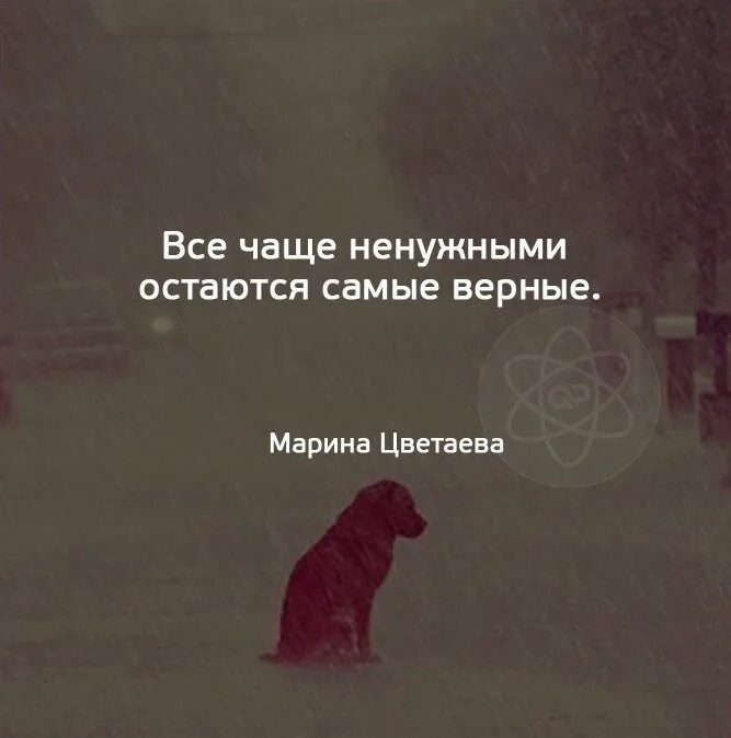 Не нужны лишние люди. Всё чаще ненужными остаются самые верные. Не нужна цитаты. Цитаты про ненужных людей. Ненужная цитаты.