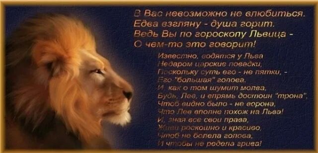 С днем рождения лев. Поздравление с днём рождения по знаку зодиака лев женщина. День рождения лев по гороскопу. С днём рождения женщине львице. Поздравление льва с днем рождения.