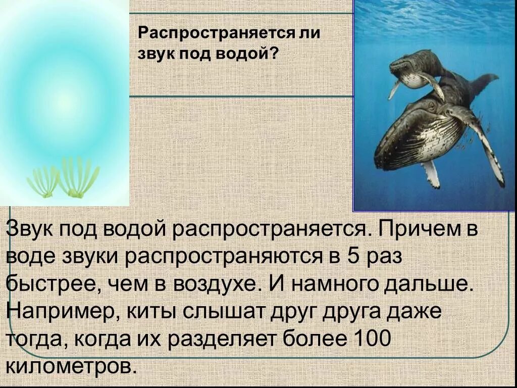 Слышен голос звонкий как понять. Распространение звука в воде. Распространение звука под водой. Где распространяется звук. Звук под водой.