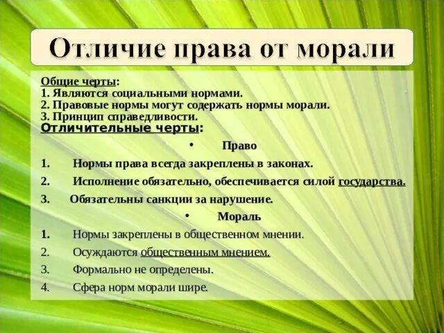 Социальные нормы отличия. Общие и отличительные черты социальных норм. Основные черты социальных норм. Характерные черты социальных норм. Общие черты всех социальных норм.