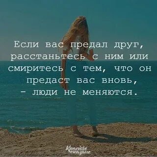 Цитата друг предал