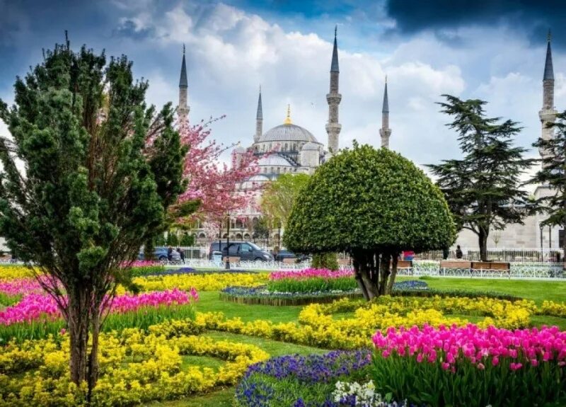Султанахмет Стамбул тюльпаны. Парк Гюльхане в Стамбуле. Турция Стамбул цветение тюльпанов. Фестиваль тюльпанов в Стамбуле. Стамбул весной