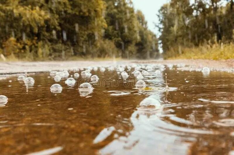 Дождь в дорогу примета. Пузыри на лужах. Дождь с пузырями на лужах. Дождевые пузыри. Пузыри на луже от дождя.