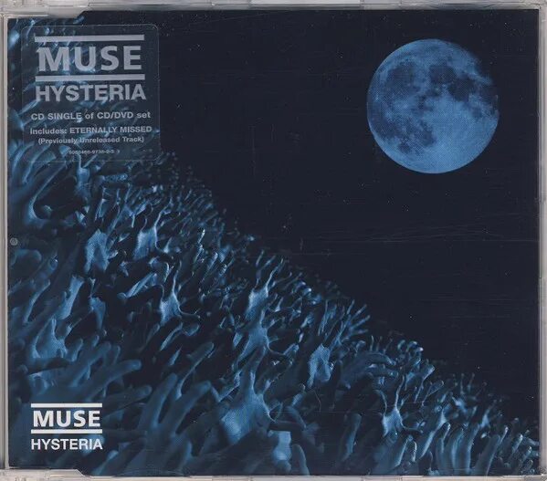 Muse hysteria перевод. Muse hysteria. muse истерия. hysteria muse cd. hysteria muse tape.