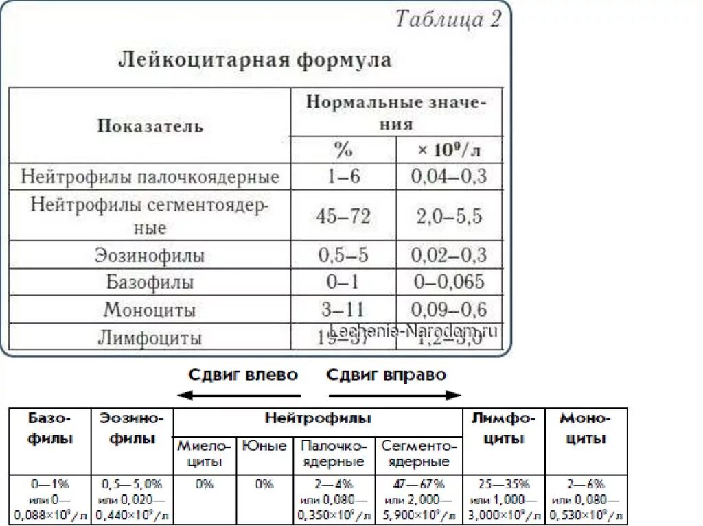 Сдвиг лейкоцитарной формулы влево норма. Сдвиг лейкоцитарной формулы влево анализ крови. Как понять сдвиг лейкоцитарной формулы. Сдвиг лейкоцитарной формулы влево пример. Лейкоцитоз формула