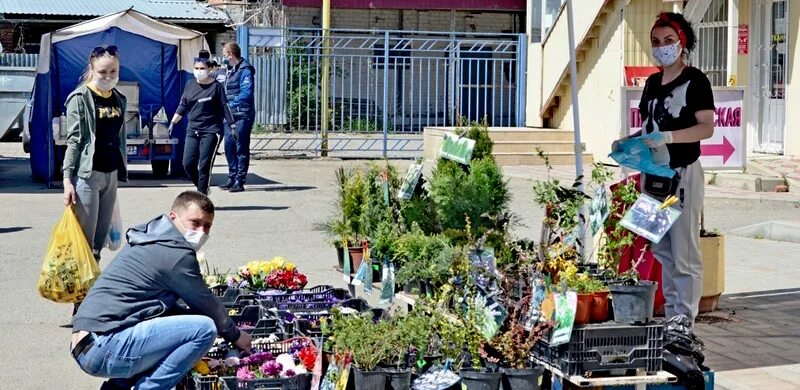 Посредники в кореновске. Кореновский рынок. Центральный рынок Кореновск. Казачий рынок Кореновск.