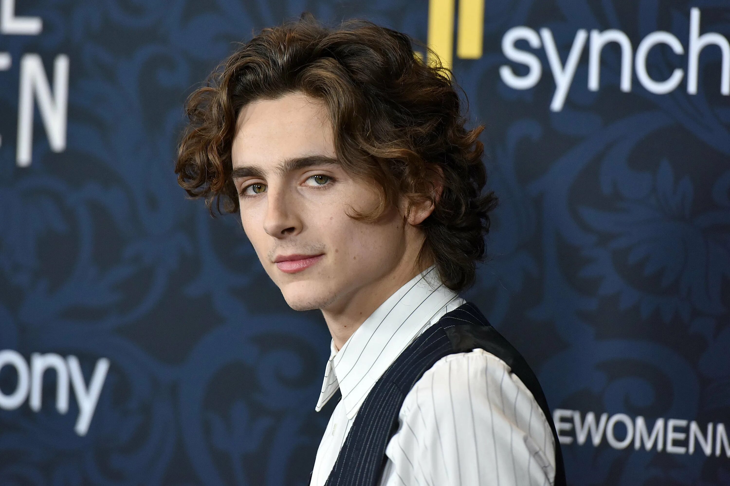 Шаламе ориентация. Тимоти шаламе лысый. Тимоти шаламе 2015. Тимоти шаламе. Актер тимоти шаламе.