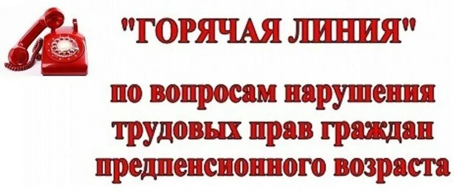 Горячая линия по вопросам трудового законодательства. Горячая линия для предпенсионеров. Нарушение трудовых прав горячая линия. Несоблюдение трудовых прав горячая линия.