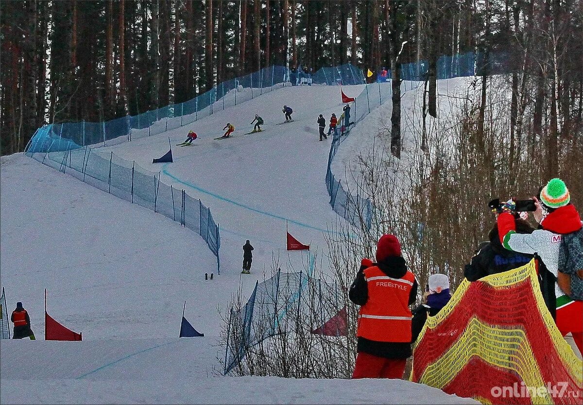 Ски кросс на Красном озере. Снежный горнолыжный курорт. Курорт снежный Ленинградская область. Ски кросс Ленинградская область. Курорт снежный сайт