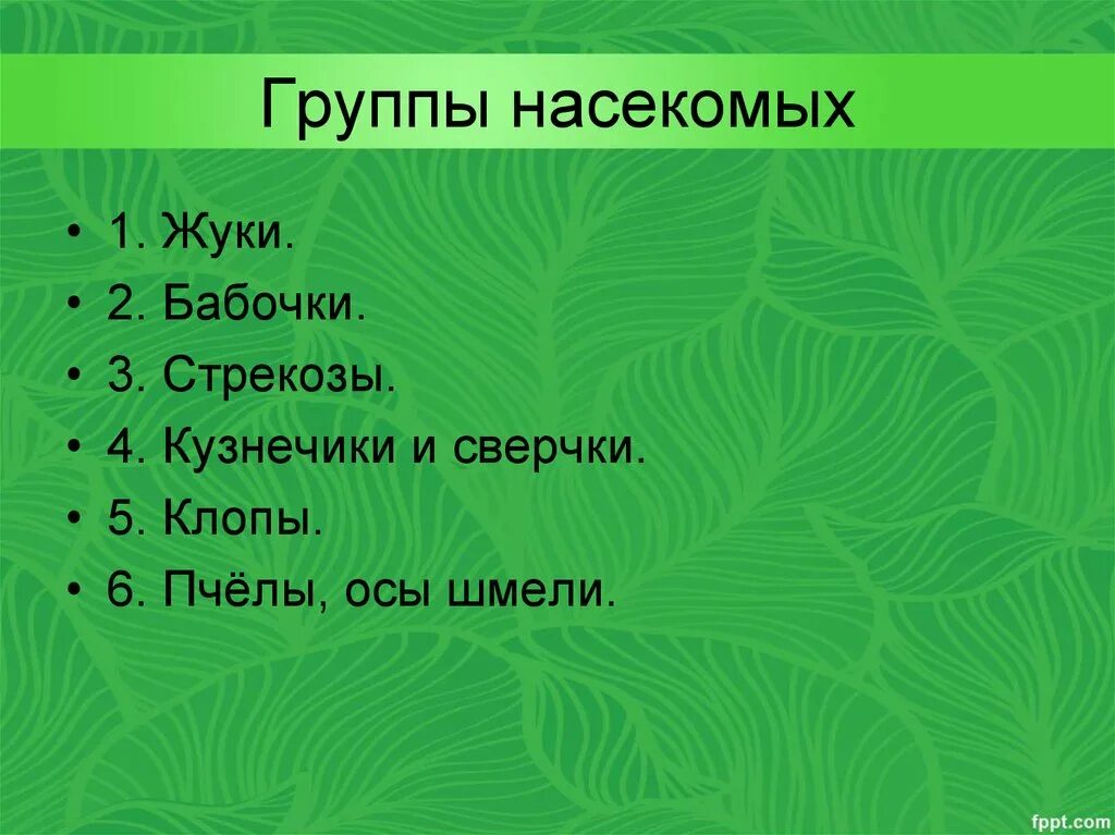 Группы насекомых. Группа насек. Любимая группа комаров