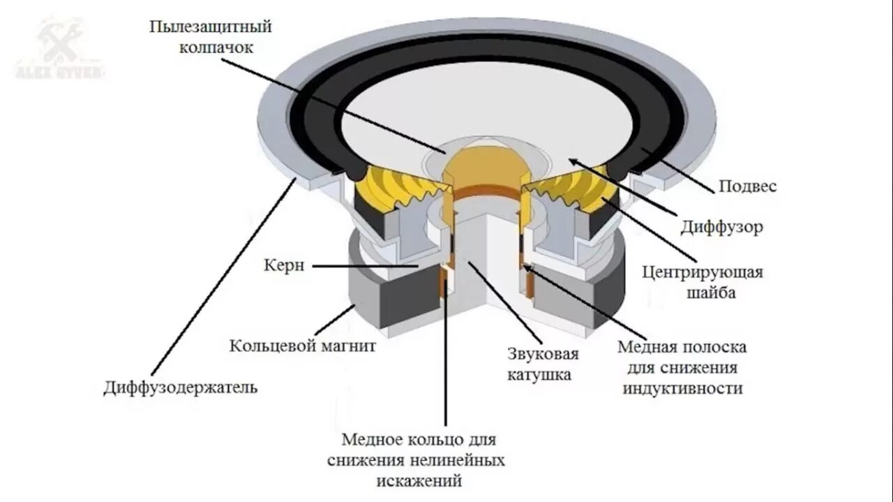 Принцип звучания. Электродинамический громкоговоритель схема. Громкоговоритель схема устройства. Схема громкоговорителя динамика. Строение динамика колонки.