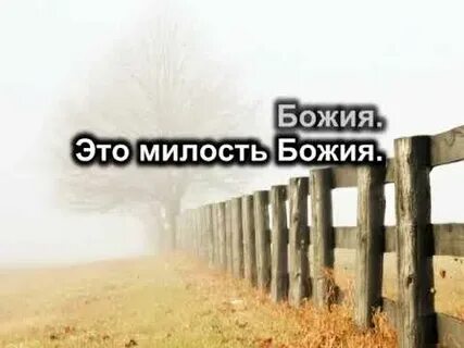 Караоке божья