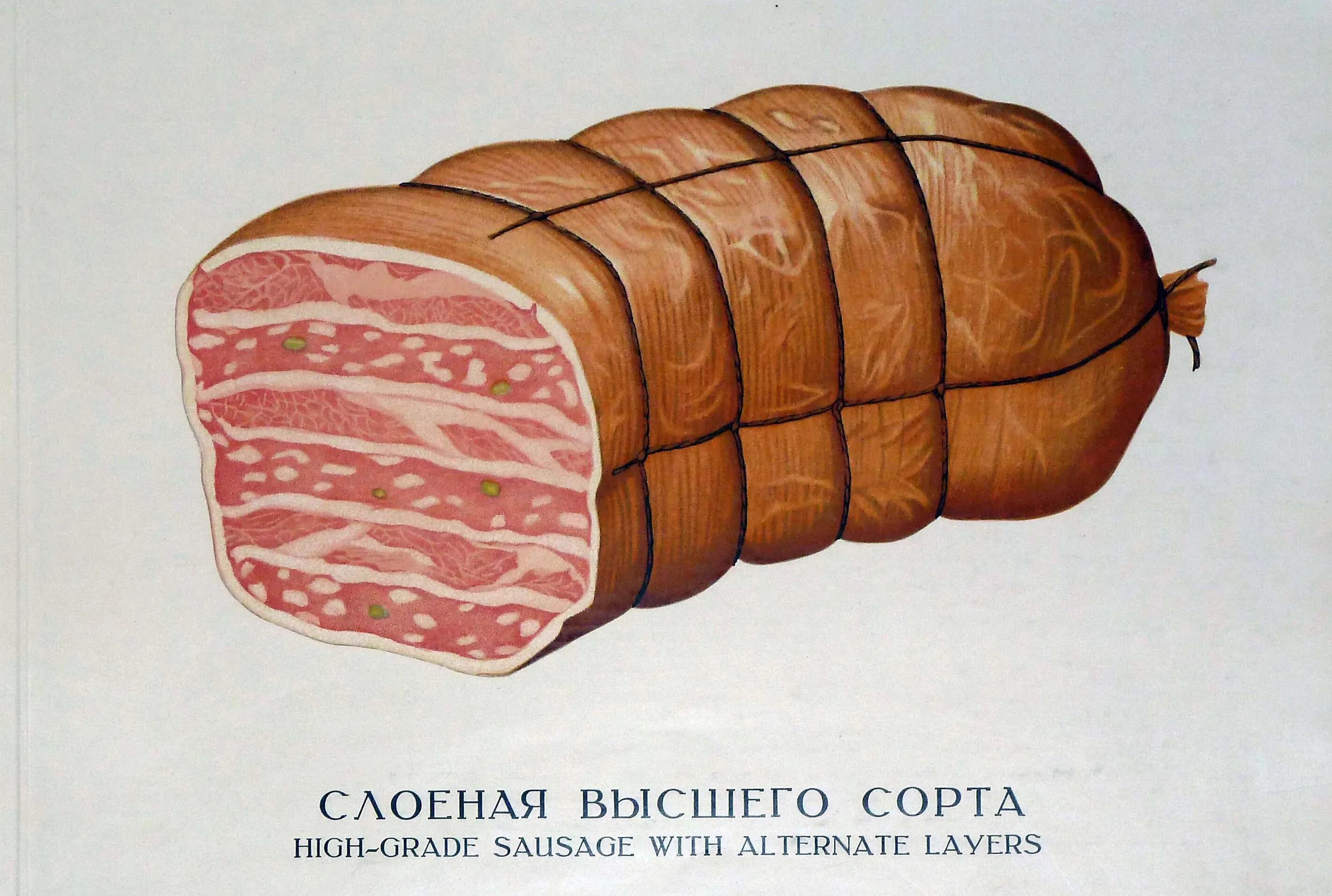 Высший сорт мяса коровы сканворд 8