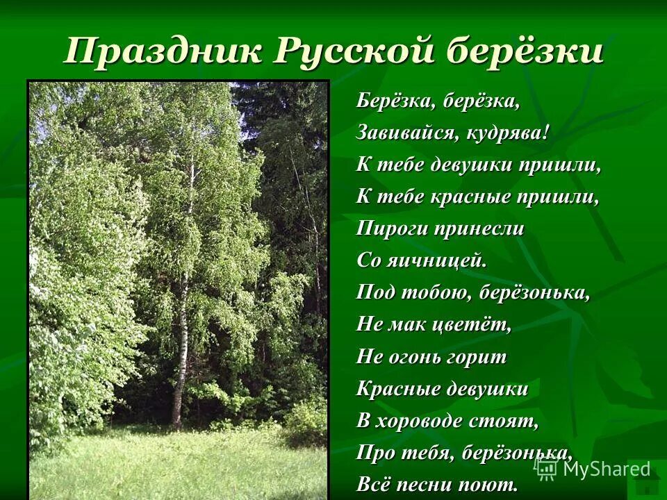 Березка до скольки. Праздник русской Березки Троица. Береза символ праздника Троица. День русской Березки. Мероприятия к Дню русской Березки.