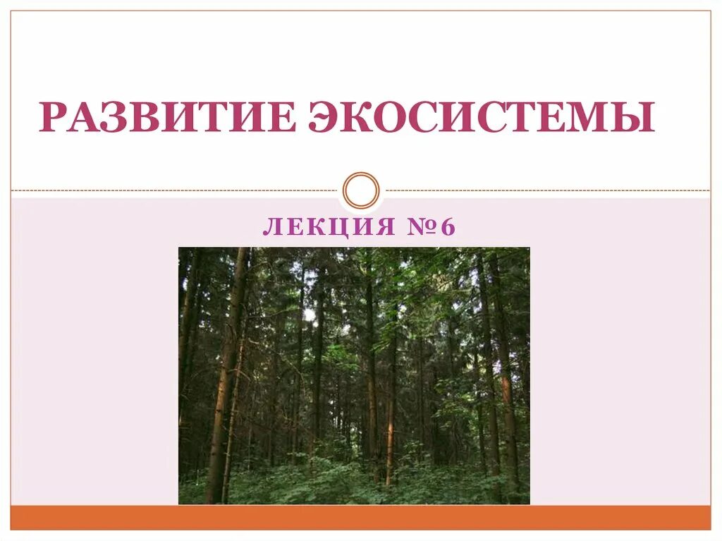 Формирование экологических систем. Развитие экосистем. эволюция экосистем. развитие экосистем 9 класс. экосистемы лекции.